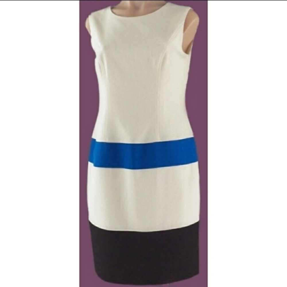 Anne Klein Sheath Dress Colorblock Career Work Sleeveless Women's 4 Small EUC